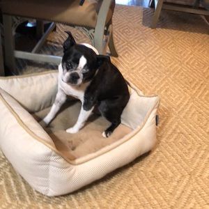 Meet your Posher, James